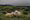 Sheep at a Farm in Ireland